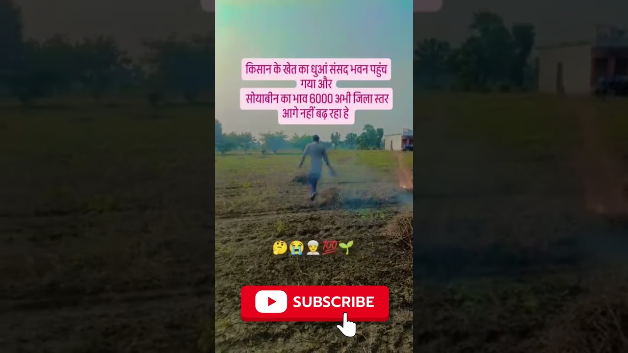 Crop Burning Goes Viral | Farmer Protest Over Soybean Price 6000 😭💯🌱