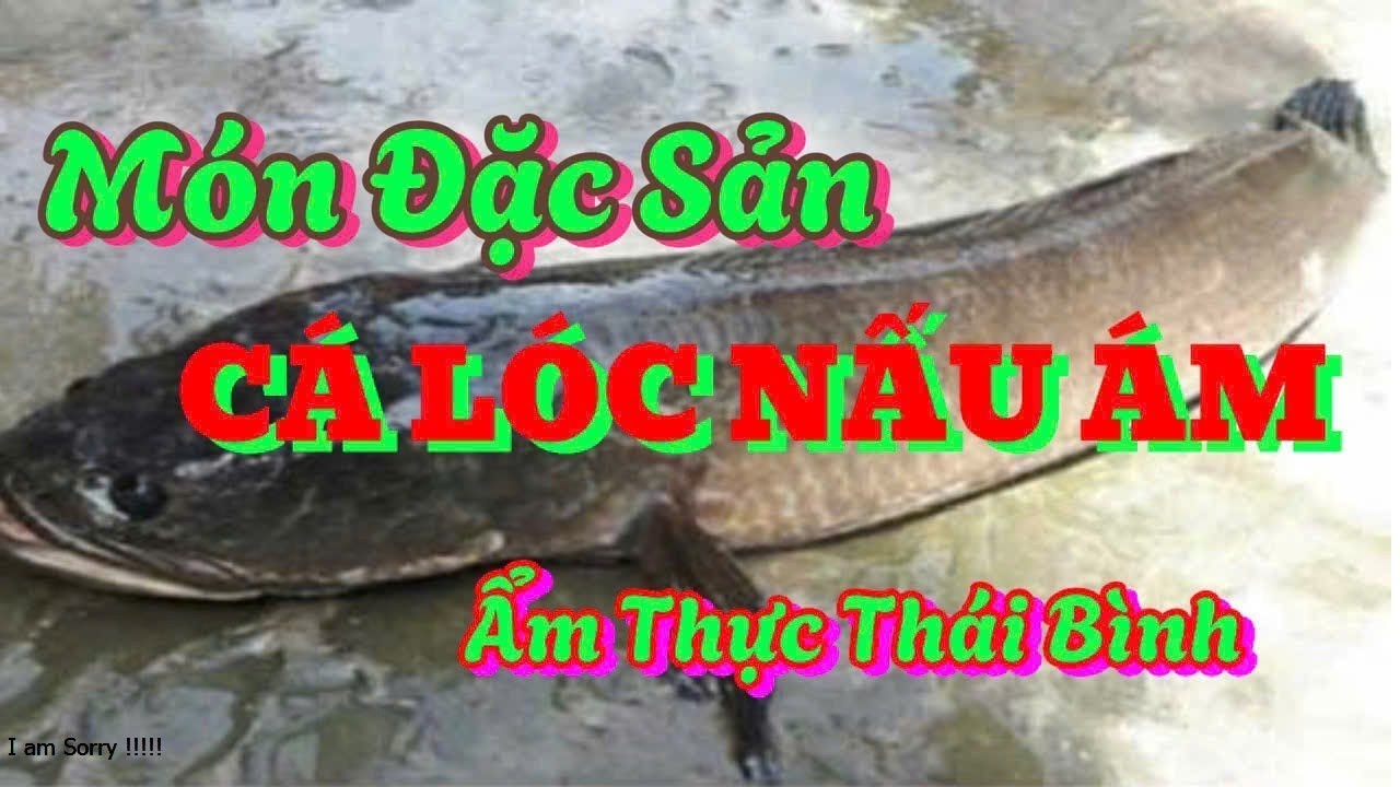 MÓN ĂN SIÊU NGON --CÁCH LÀM MÓN CÁ  QUẢ - ( CÁ LÓC ) NẤU ÁM -ĐẶC SẢN THÁI BÌNH