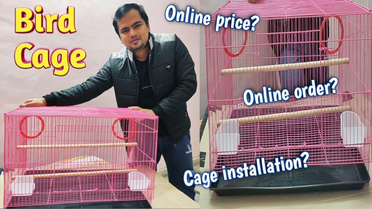 Bird cage 2 feet | Bird cage online india | Cage 24 inch setup