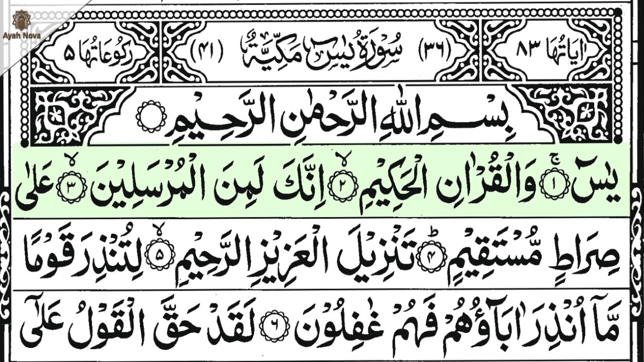 Surah Yasin (Yaseen) | By Sheikh Ziad Tarek | Full With Arabic Text (HD) | 36 سورۃ یس