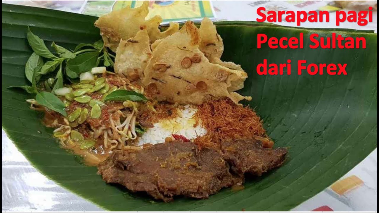 PECEL SULTAN FOREX HARGA $66 !!!