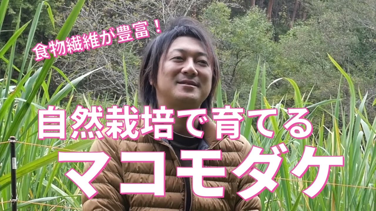 【赤坂マコモ農園さん】自然の力だけで育ったマコモダケは、食物繊維やビタミンなど、栄養たっぷりです！