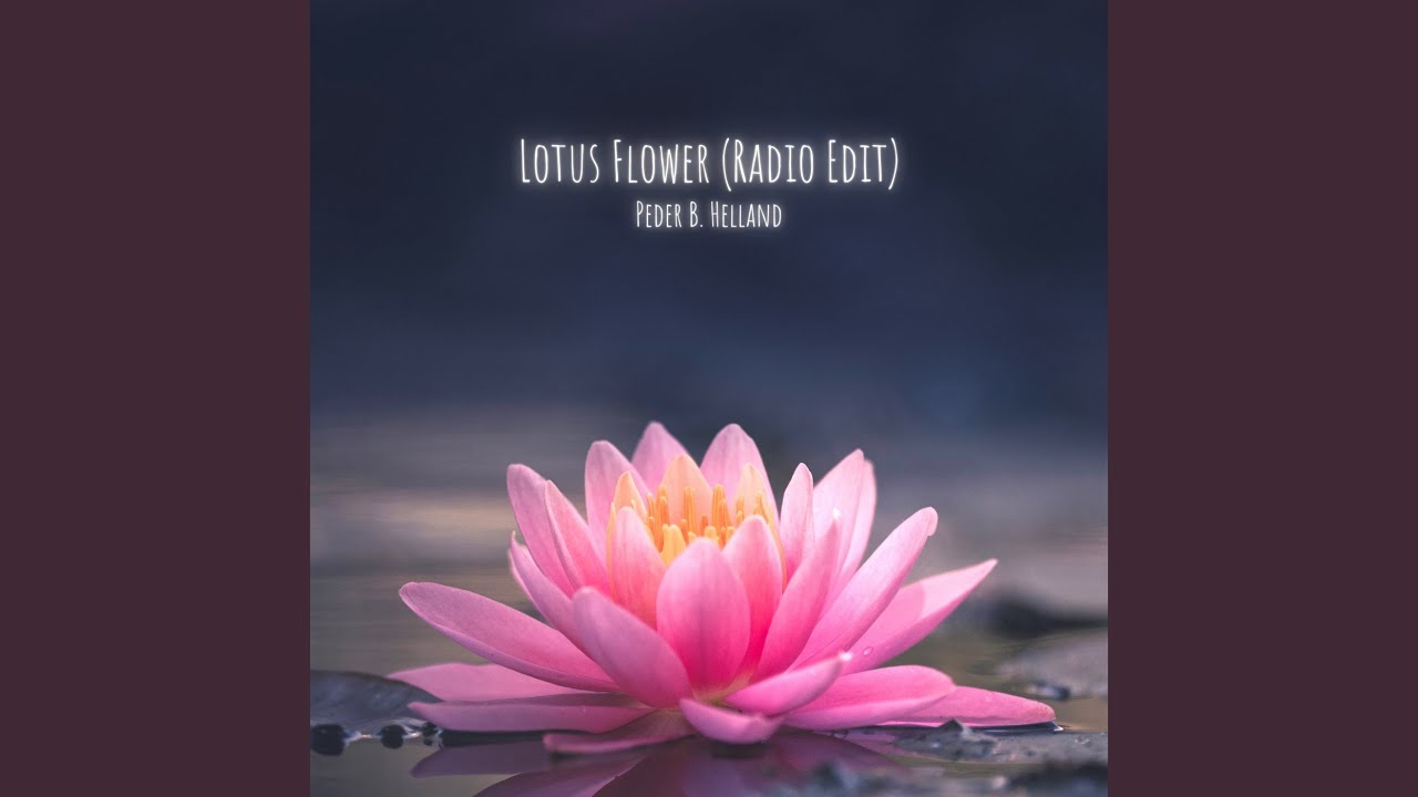 Lotus Flower (Radio Edit)