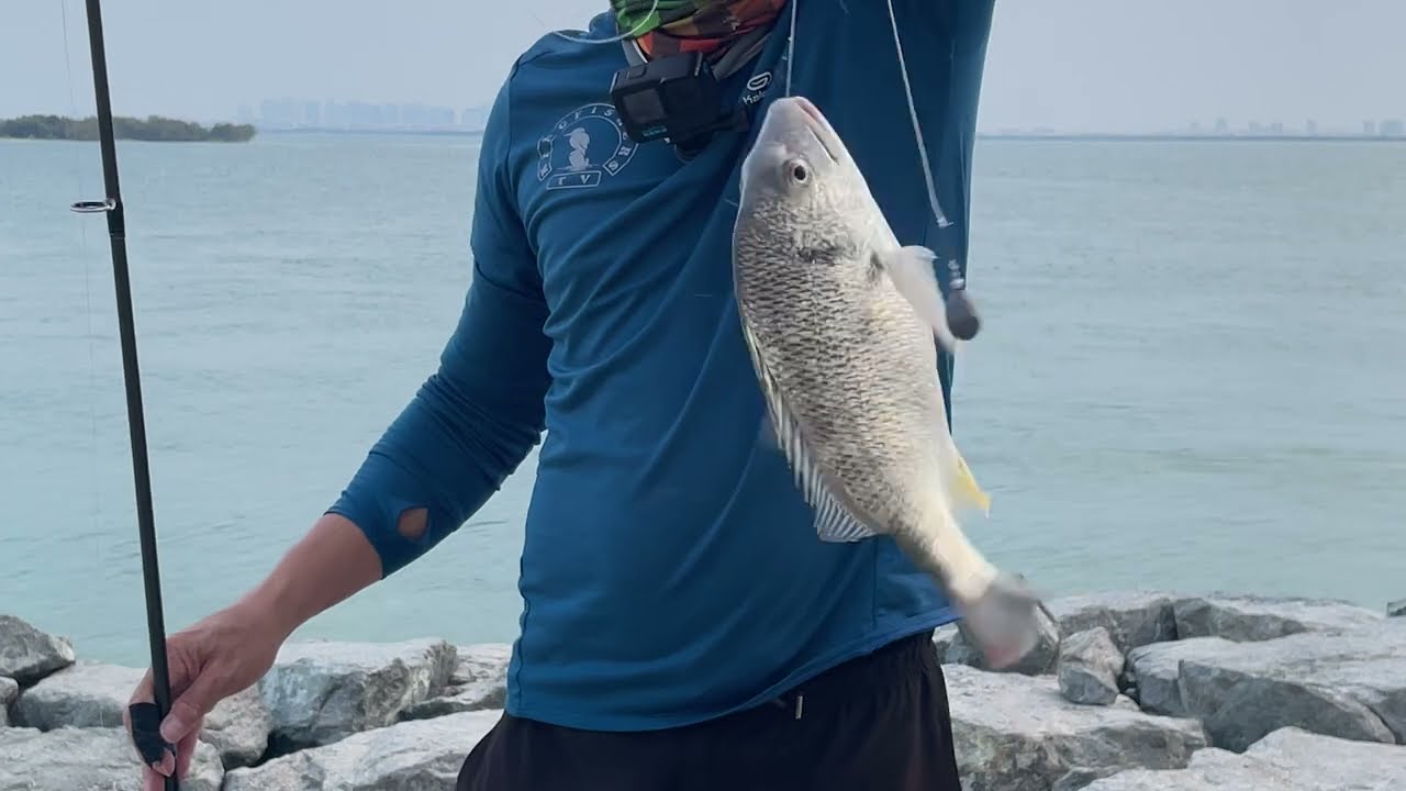 MEDIUM HEAVY SET UP | BOTTOM FISHING