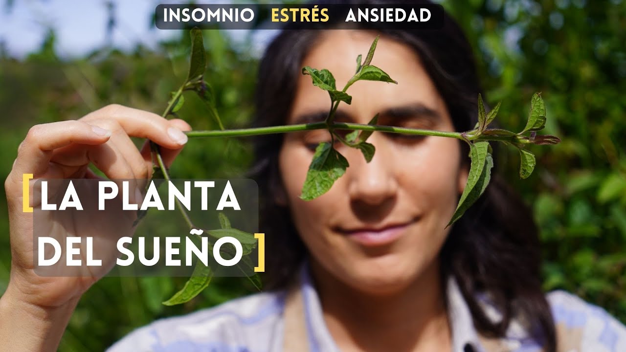 Prep&aacute;rate para SO&Ntilde;AR en GRANDE!