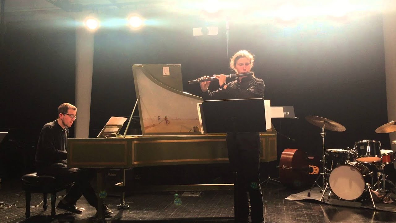 G. Ph. Telemann - Flute Sonata Twv41:D3 (Andante)