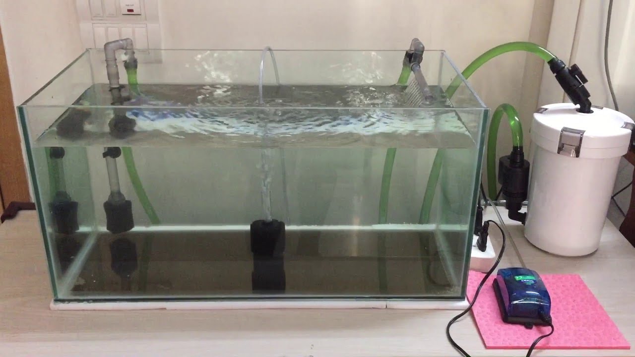 Akvaryum Dış Filtre Kutu Açılımı+İnceleme - Aquarium Filter Review - Sunsun 603b #aquarium