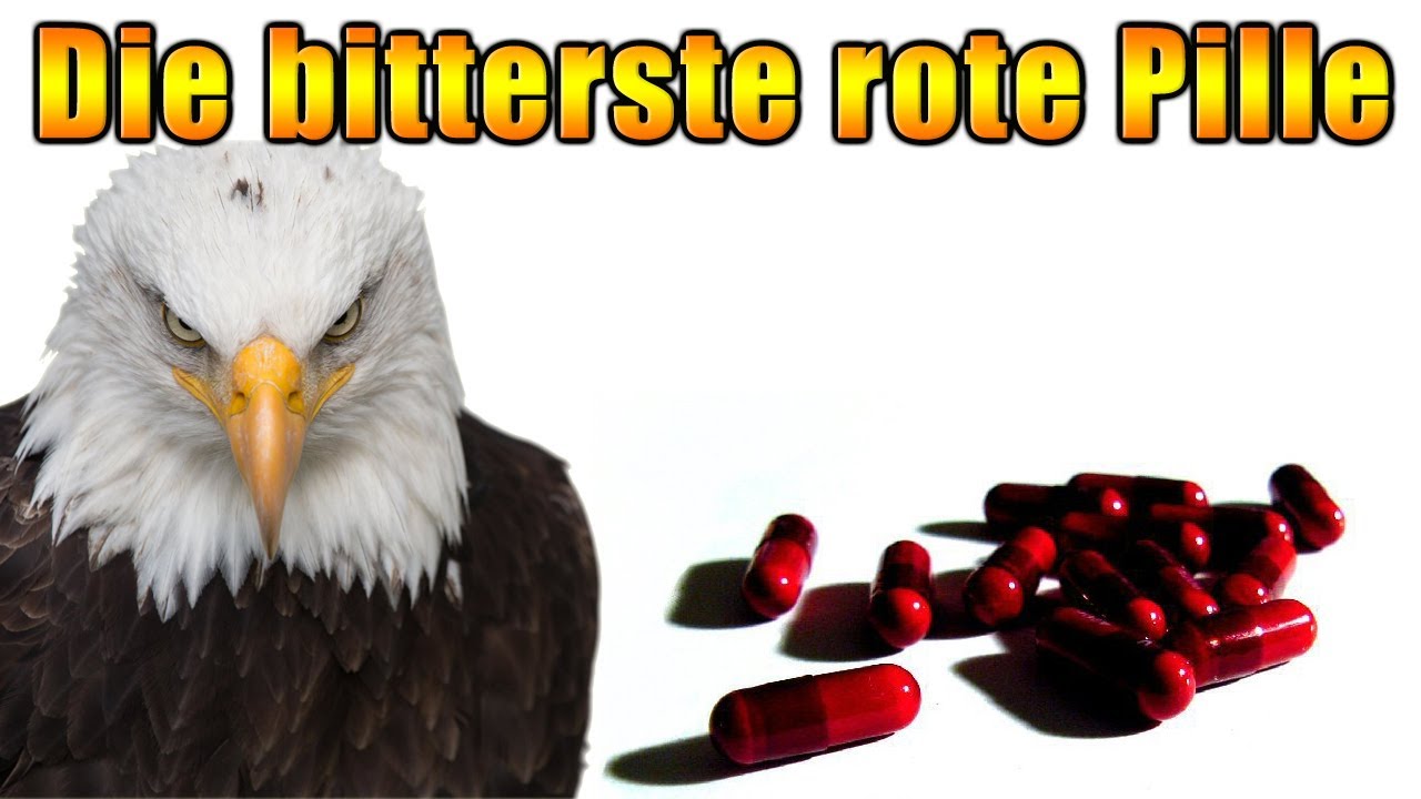 Die bitterste rote Pille 2023 [FTAOL - From Truth And Other Lies]