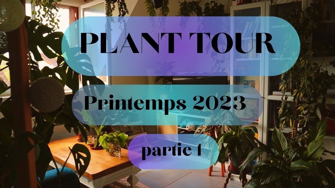 PLANT TOUR printemps 2023 🌿 mes 80 plantes dans mon 40m2 (partie 1 - la cuisine / salle à manger)