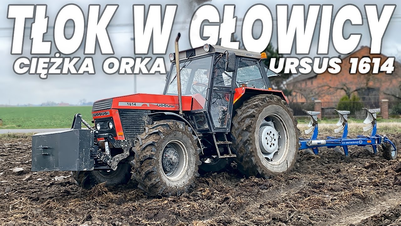 🔥 OSTRA TŁOKA URSUSEM 🇵🇱 Mokra orka 2024 🔥 Ursus 1614 & Overum CX 🇵🇱
