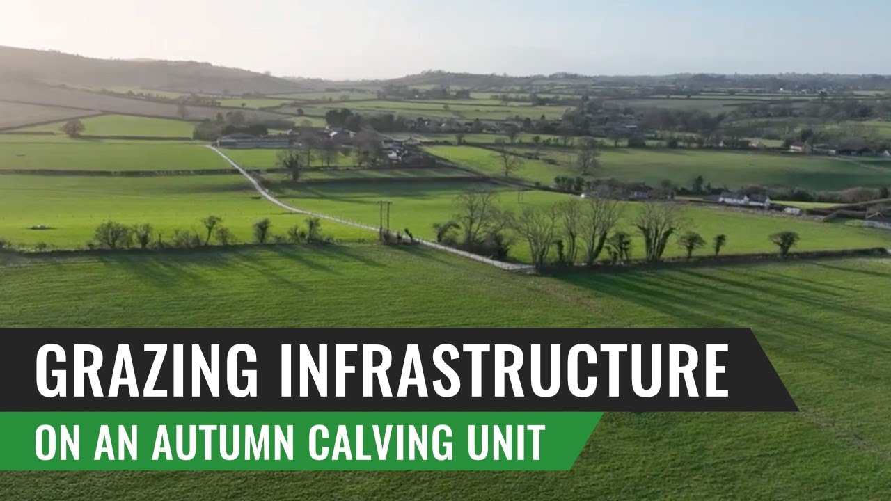 Grazing Infrastructure on an Autumn Calving Unit – Robin Blatchford, England