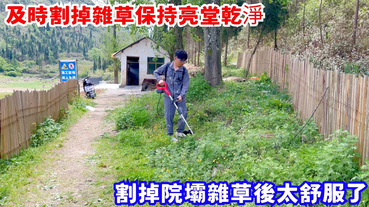 萬物復蘇的季節，房子周圍開始長雜草，及時割掉保持亮堂乾淨，割掉院壩雜草後太舒服了｜改造廢棄房屋VLOG