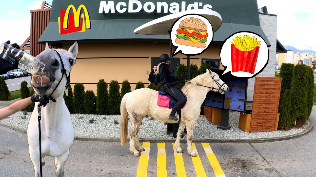 Išli sme na koňoch 🐴 do McDonald's 🍟🍔| jazdenie - jízda na koni | videa o koňoch - koních