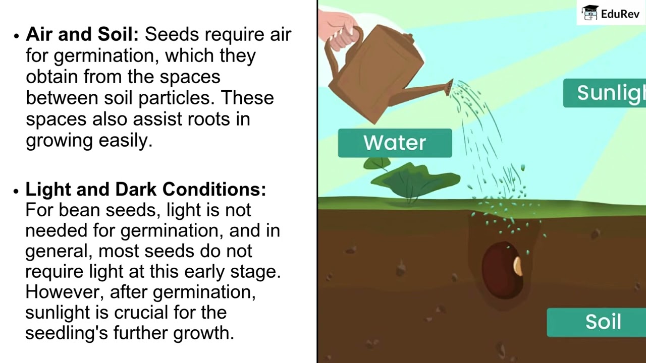 Class 6 Science | Living Creatures: Exploring their Characteristics | NCERT Curiosity Series