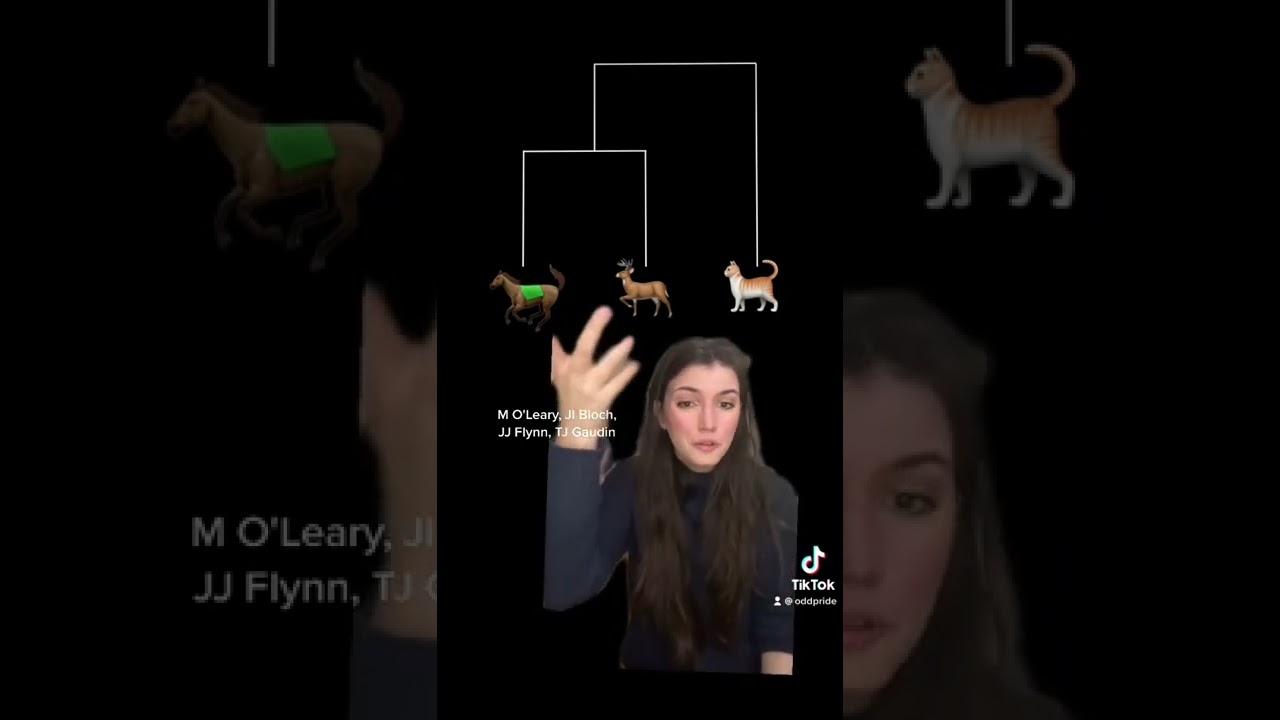 Mammal Mystery