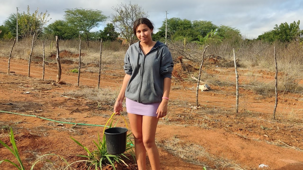 AGUANDO AS PLANTAS E DANDO RAÇÃO AS GALINHAS 🐔🐣