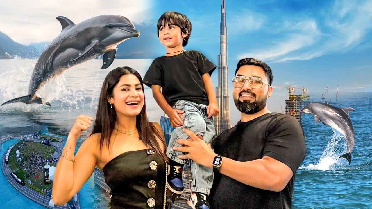 Dolphin Show Dubai