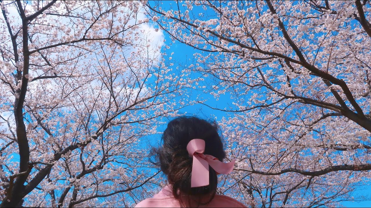 My Favorite Sakura Spot in Tokyo + Journal With Me 🌸| ほぼ日手帳 | Episode 5 | Rainbowholic