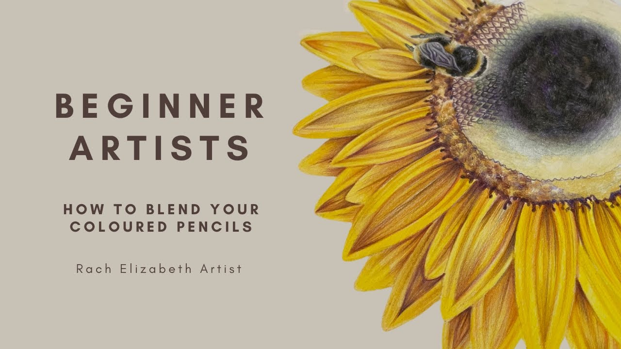 Coloured pencils for BEGINNERS: How to blend  your pencils