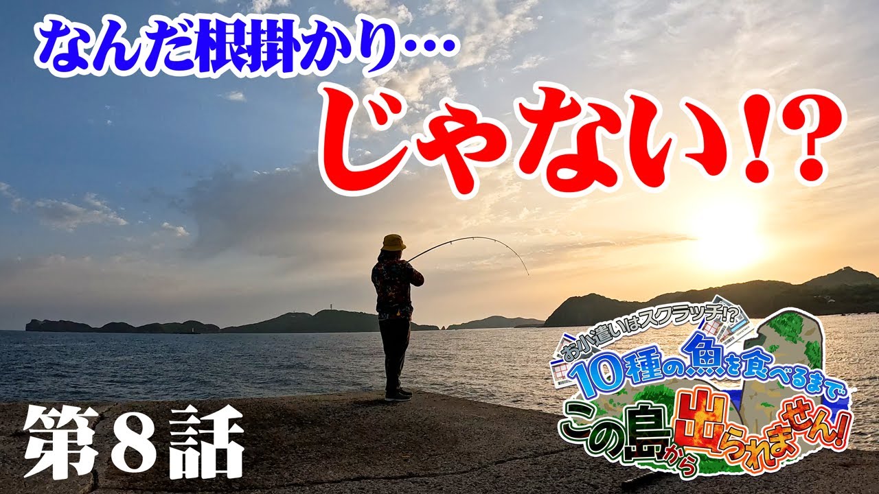 【お魚10種⑧】壱岐トップクラスの堤防で根掛かりかと思ったら…