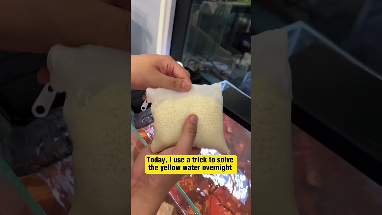 Fish tank water turning yellow? This protein cotton pack can easily handle it 
