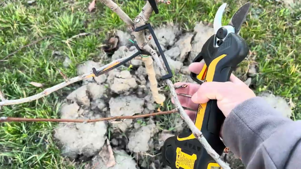 Toaletarea pomilor cu VOLPI PV 295