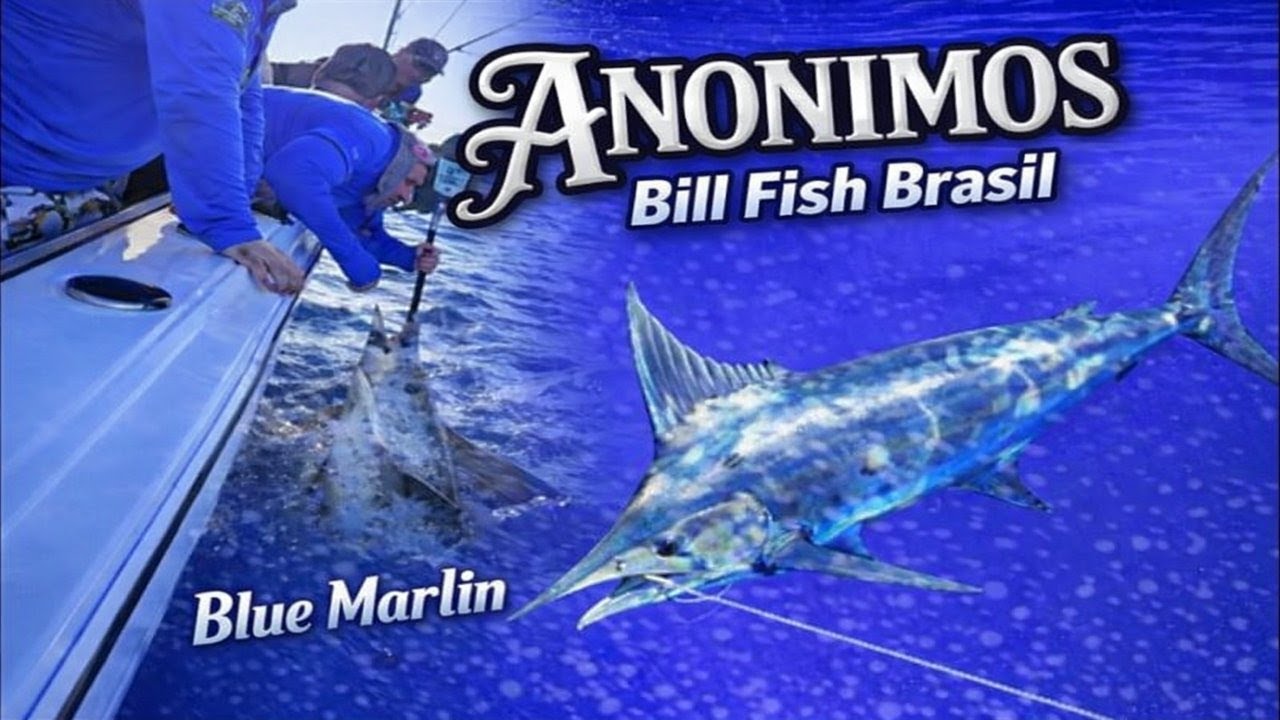 ANONIMOS E SEU MARLIN AZUL!!(CAPTURA COMPLETA)