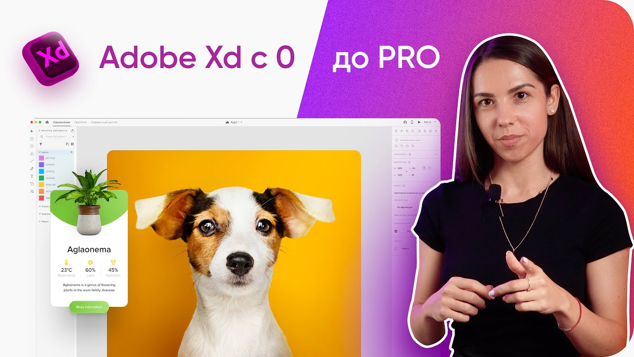 [WOW-курс] Основы Adobe Xd и веб-дизайна за 33 минуты для начинающих и не только (2024) + Практика