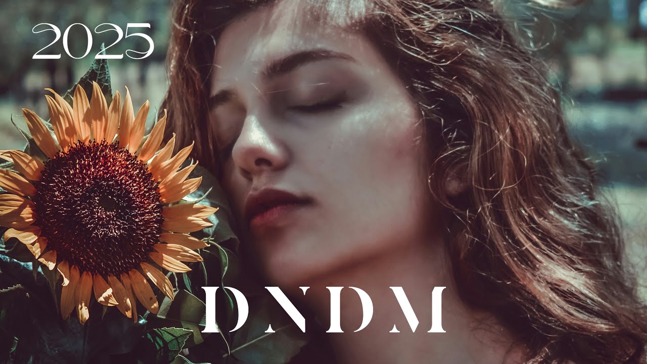 DNDM - Best Relax Mix 2025 | DNDM, Umar Keyn, Mr Salama,Davvi  New Musics | Retro Mix | Top 15 Songs