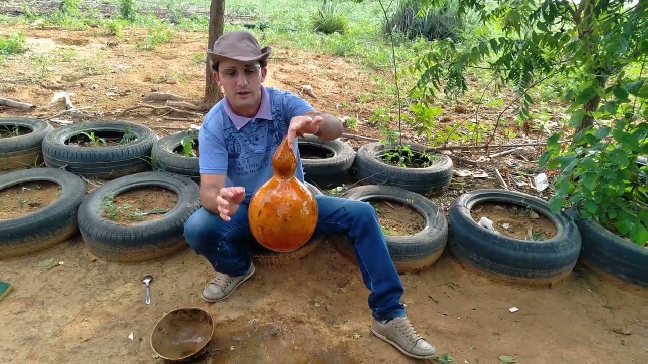 Cabaça com água, como utilizar.