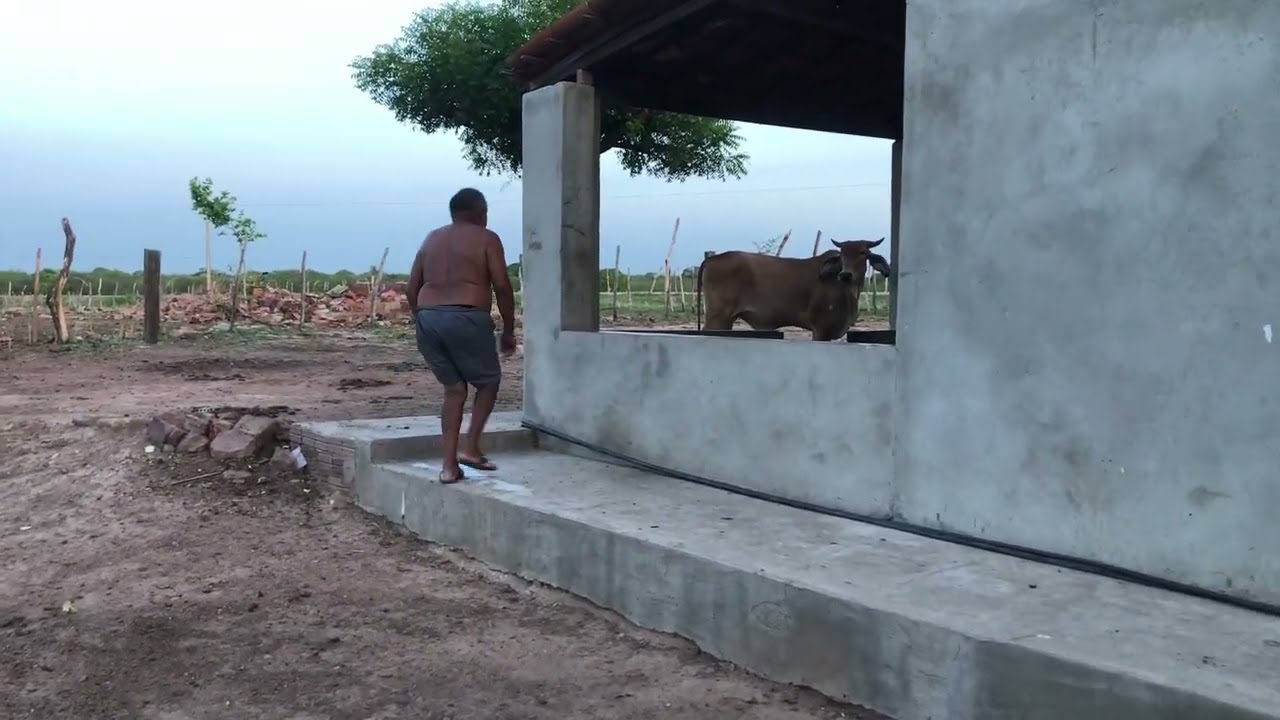 SERTÃO NORDESTINO 