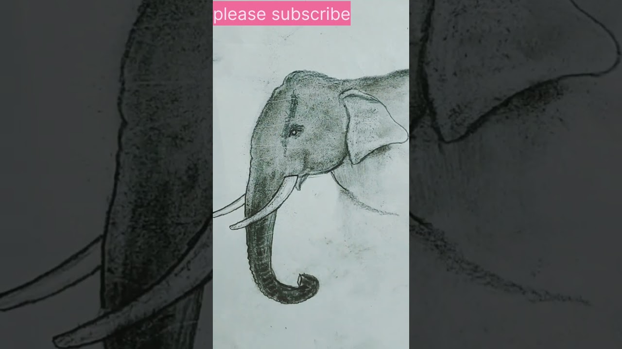 how to draw elephant / easy drawing ideas #animaldrawing  #shorts  #elephantdrawing