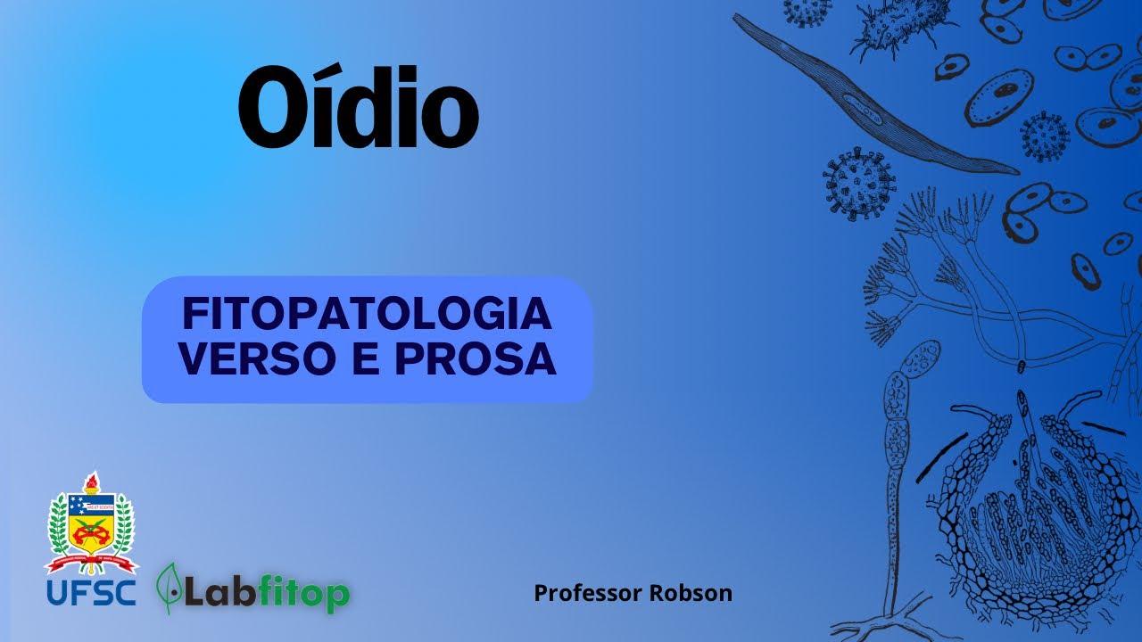 O&iacute;dio