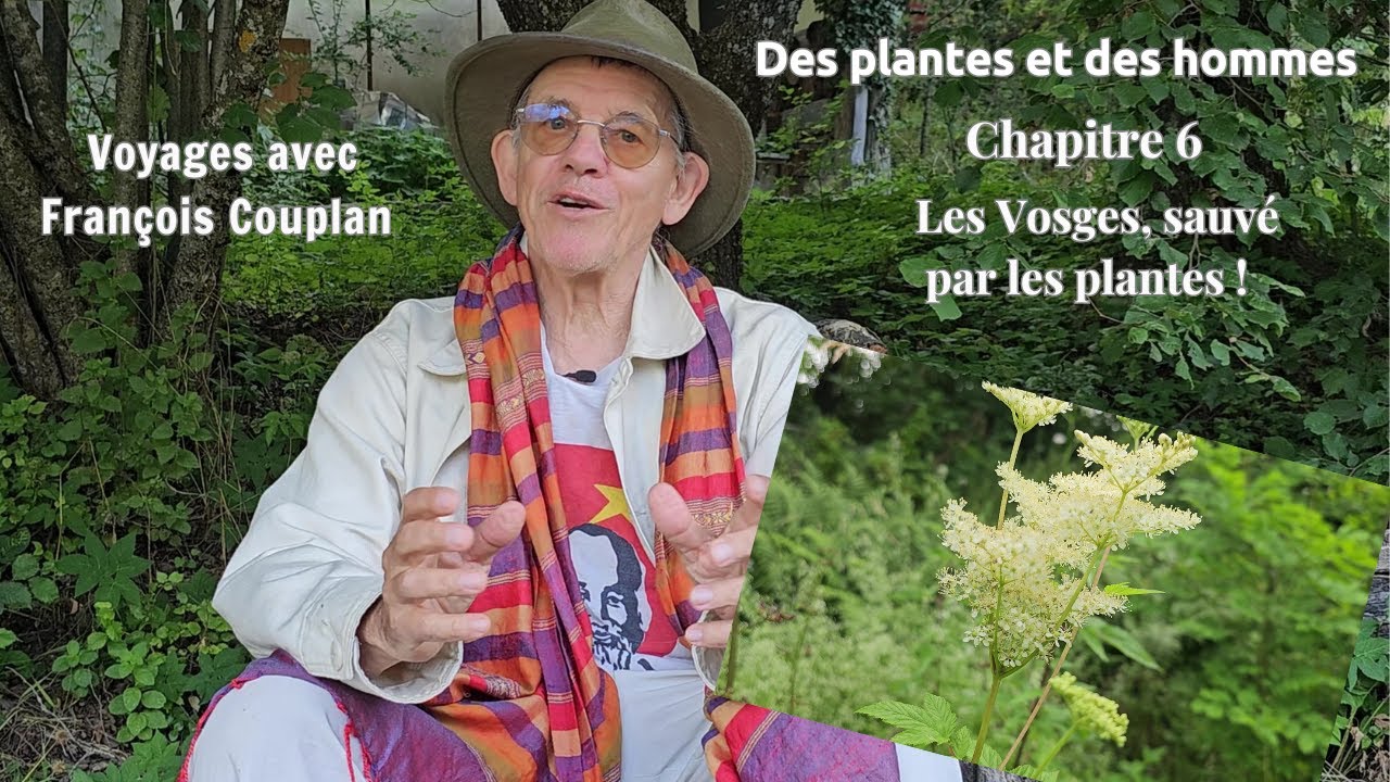 Chap. 6 : Les Vosges, sauvé par les plantes ! / Voyage avec François Couplan
