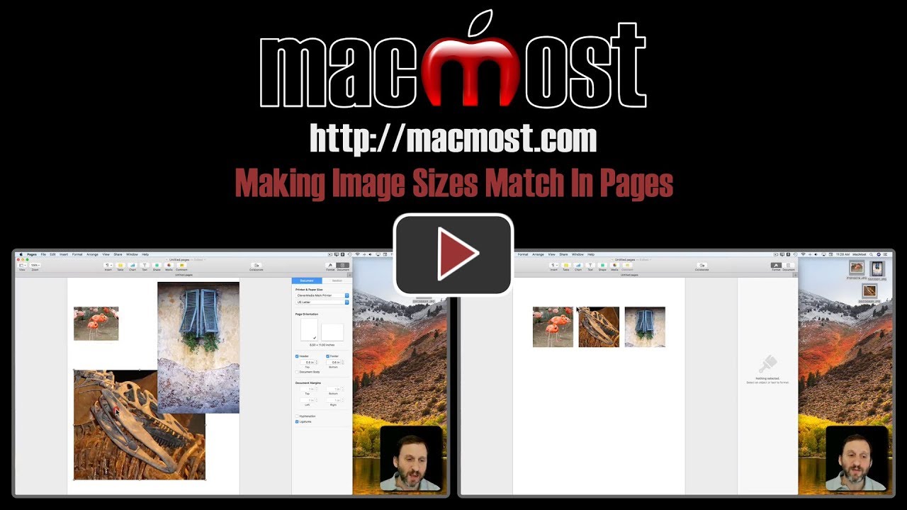 Making Image Sizes Match In Pages (#1539)