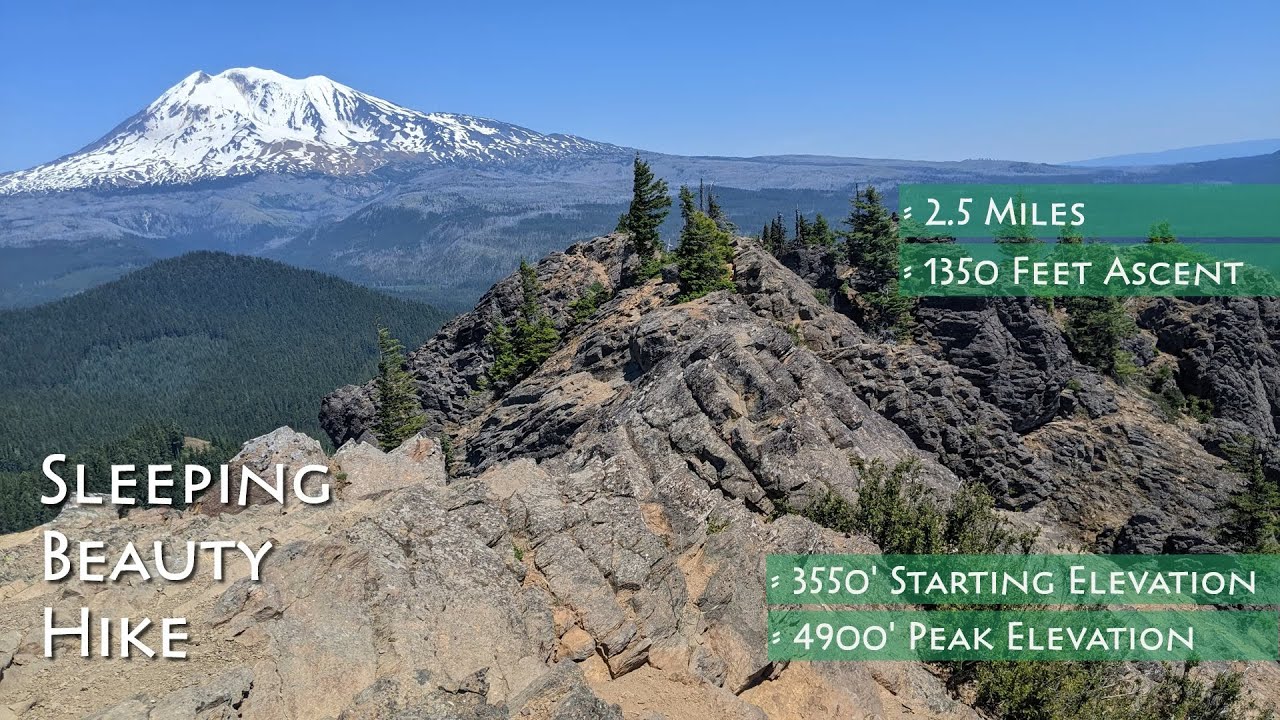 Sleeping Beauty Peak Hike Guide | Trout Lake, Washington
