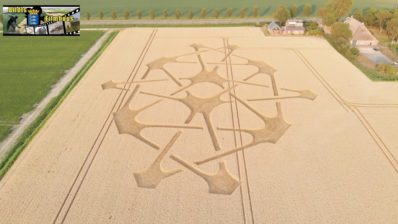 Compilation Escher Crop Circles Graancirkels het Bildt in 2018 | The Netherlands