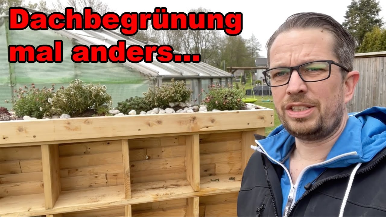 Dachbegrünung mal ander ! Gründach fürs Insektenhotel ! Flachdachbegrünung ! tobiebel Deichwerk