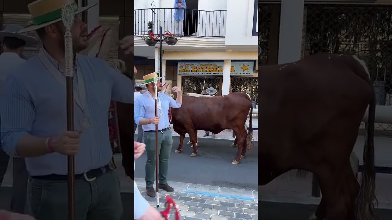 Romería de San Marcos