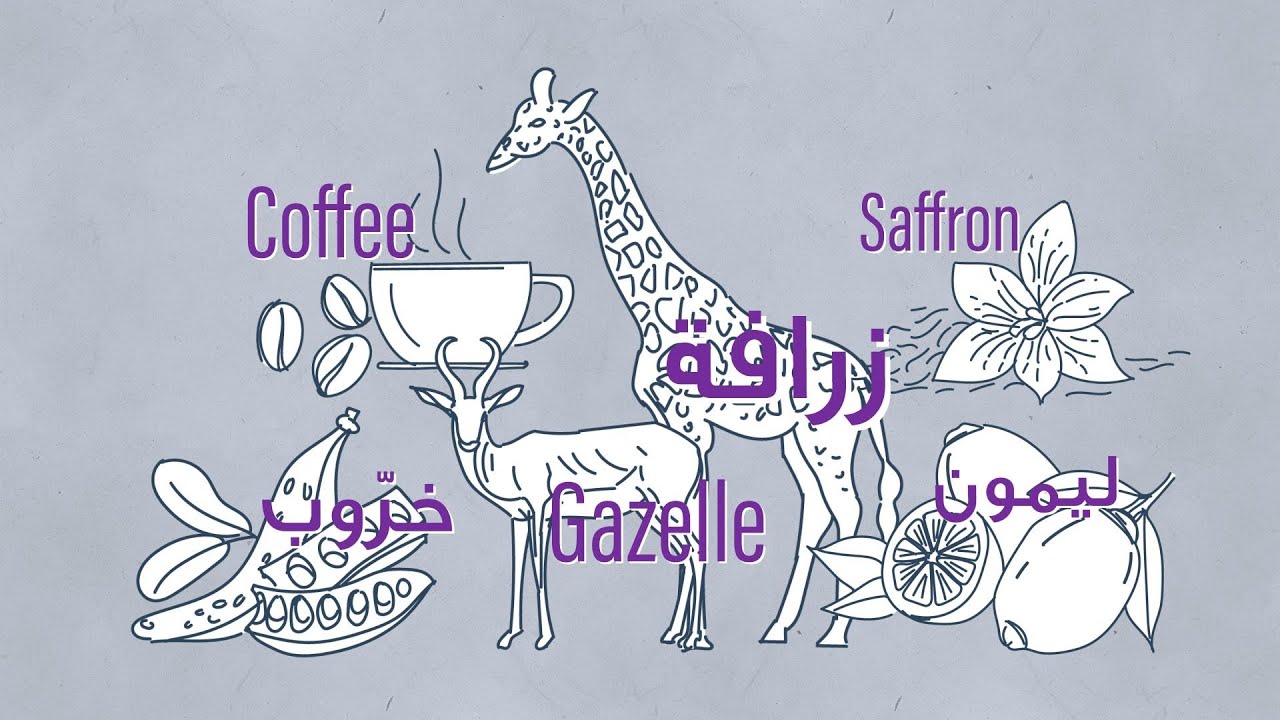 English words with Arabic origins