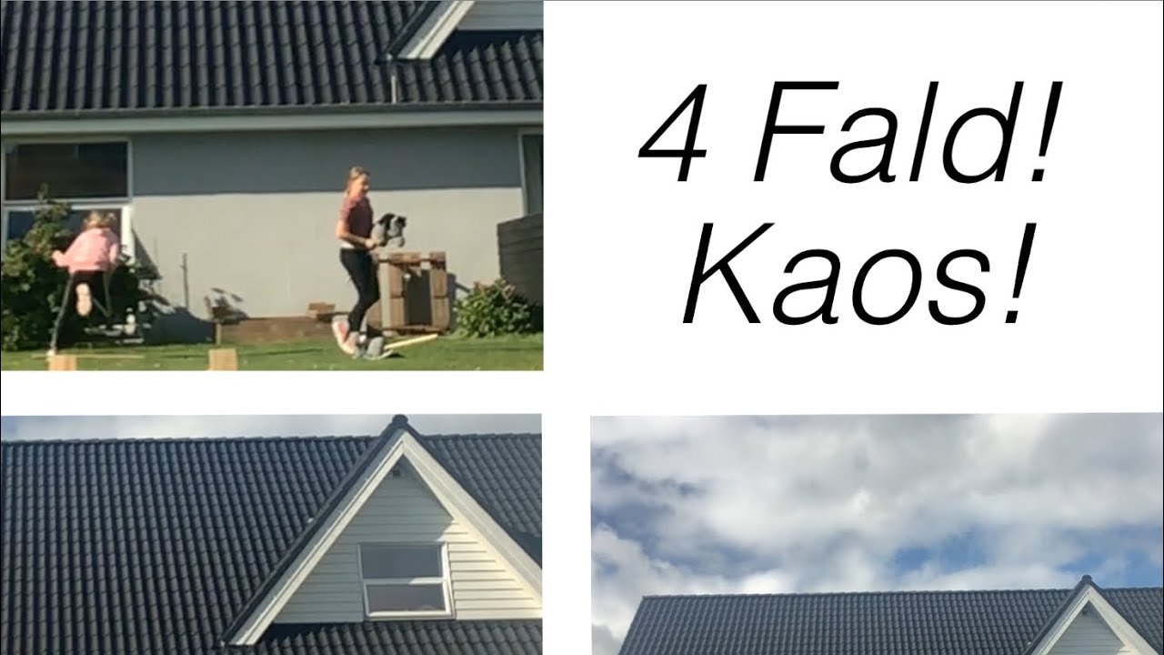 Kæpheste video falder af 4 gange!