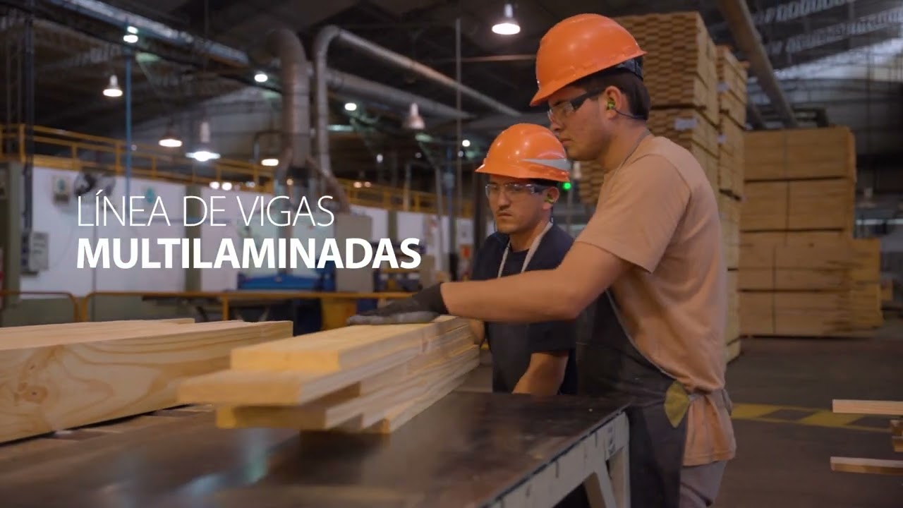 VIGAS MULTILAMINADAS   VICTORIA MADERAS Laharrague Chodorge S.A.