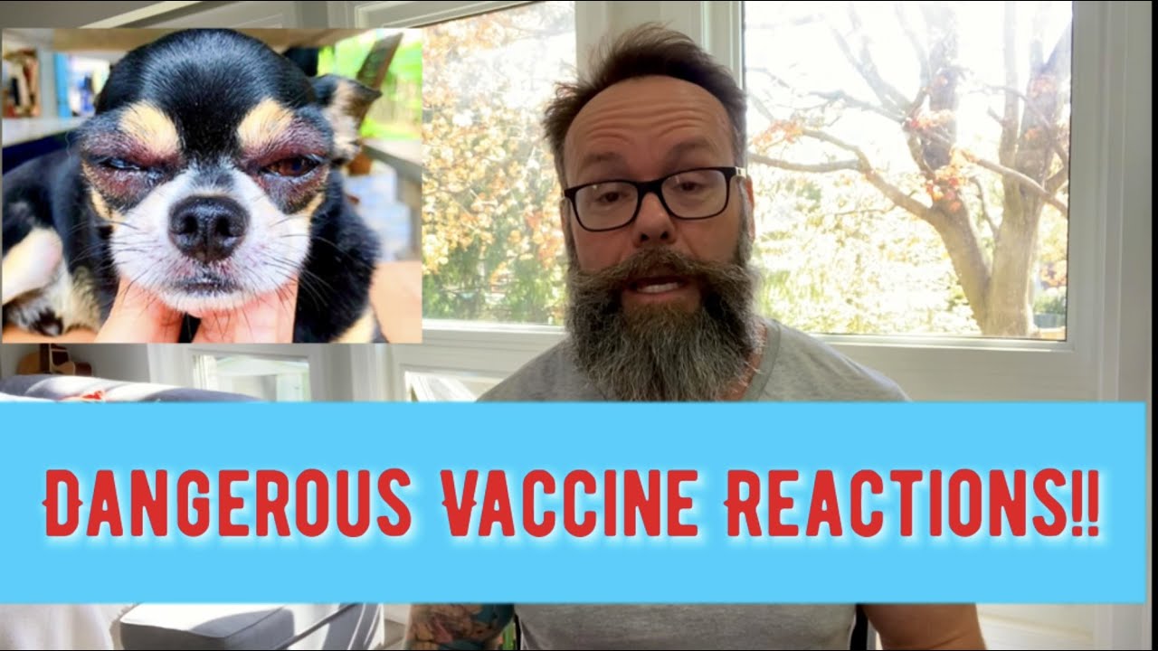 Pet Reactions To Vaccines