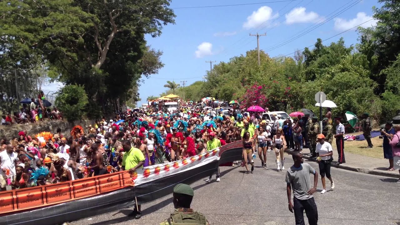 Crop Over 2013 - Grand Kadooment Parade (Zulu International)