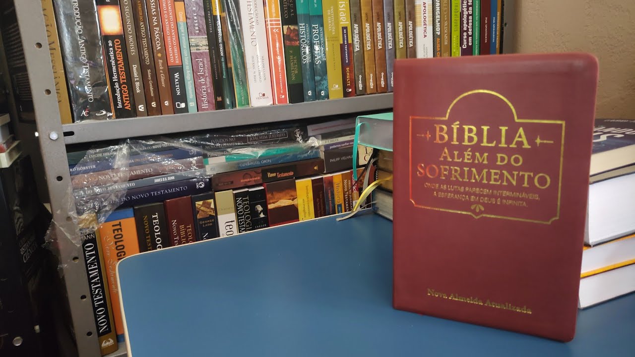 Bíblia além do sofrimento (Review)
