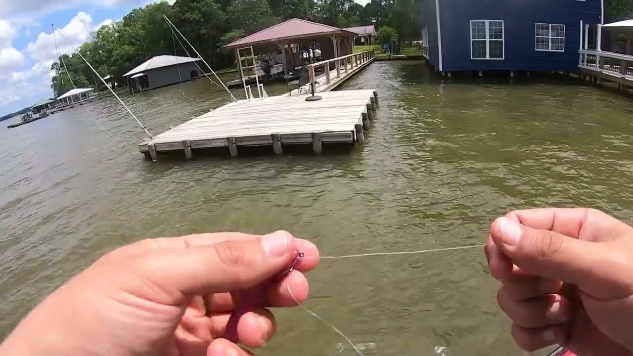 Georgia Bass Trail 2023 | Lake Blackshear