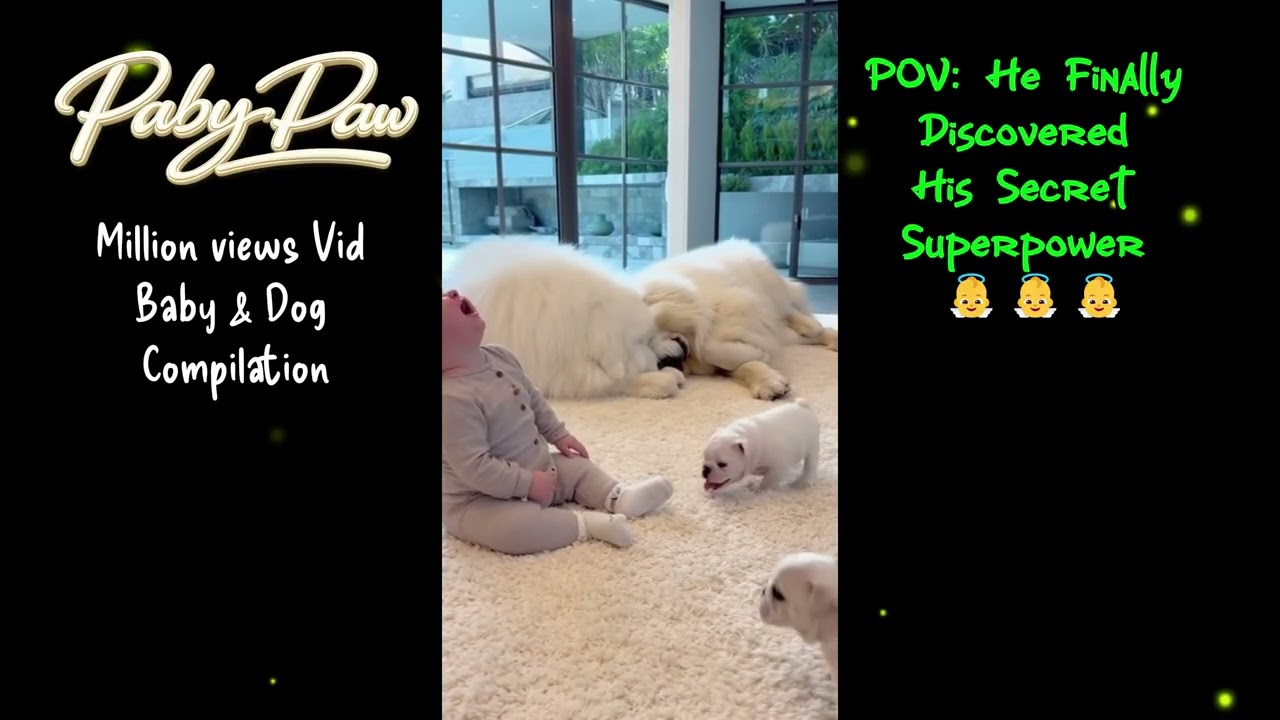 Cutest Baby & Dog Moments - Compilation 11