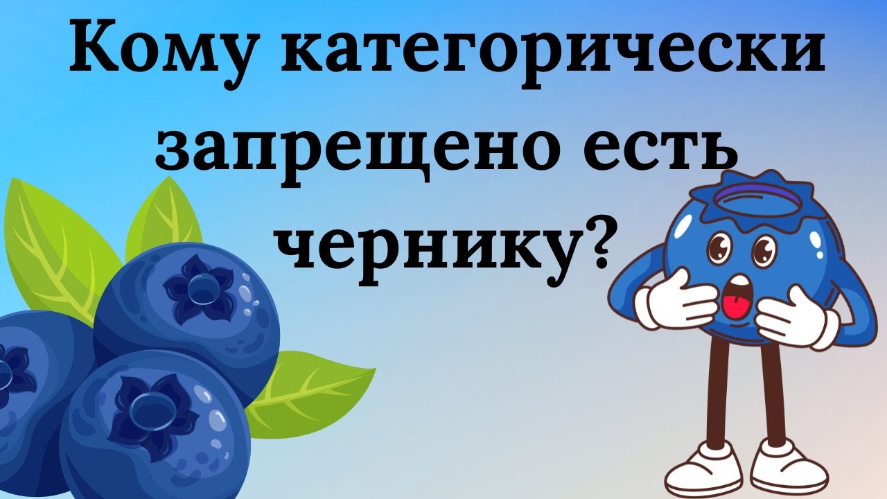 Кому категорически запрещено есть чернику &mdash; что следует знать о ягоде