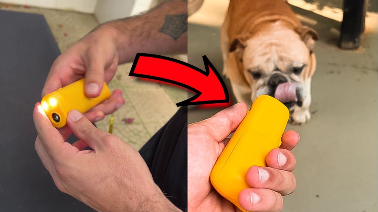 Este dispositivo AHUYENTA a los perros AGRESIVOS