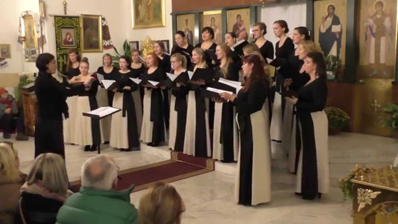 Laudati pre Domnul din ceruri - Vladimir Ciolac